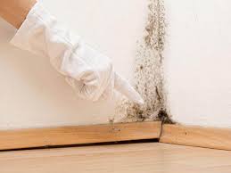 Best Forensic Mold Investigation  in Highwood, IL